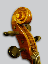 violoncelle location